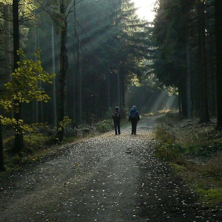 Zimmervermietung-Heide-Fiege Hartmannsdorf bei Chemnitz Exterior foto